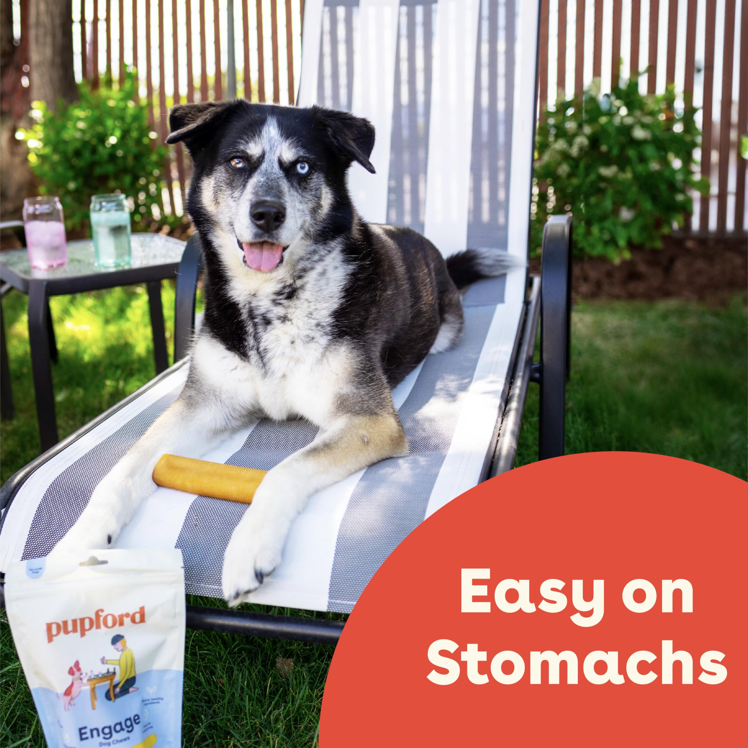 Friandises Pupford au fromage de yak: adaptées pour chiots et chiens actifs.