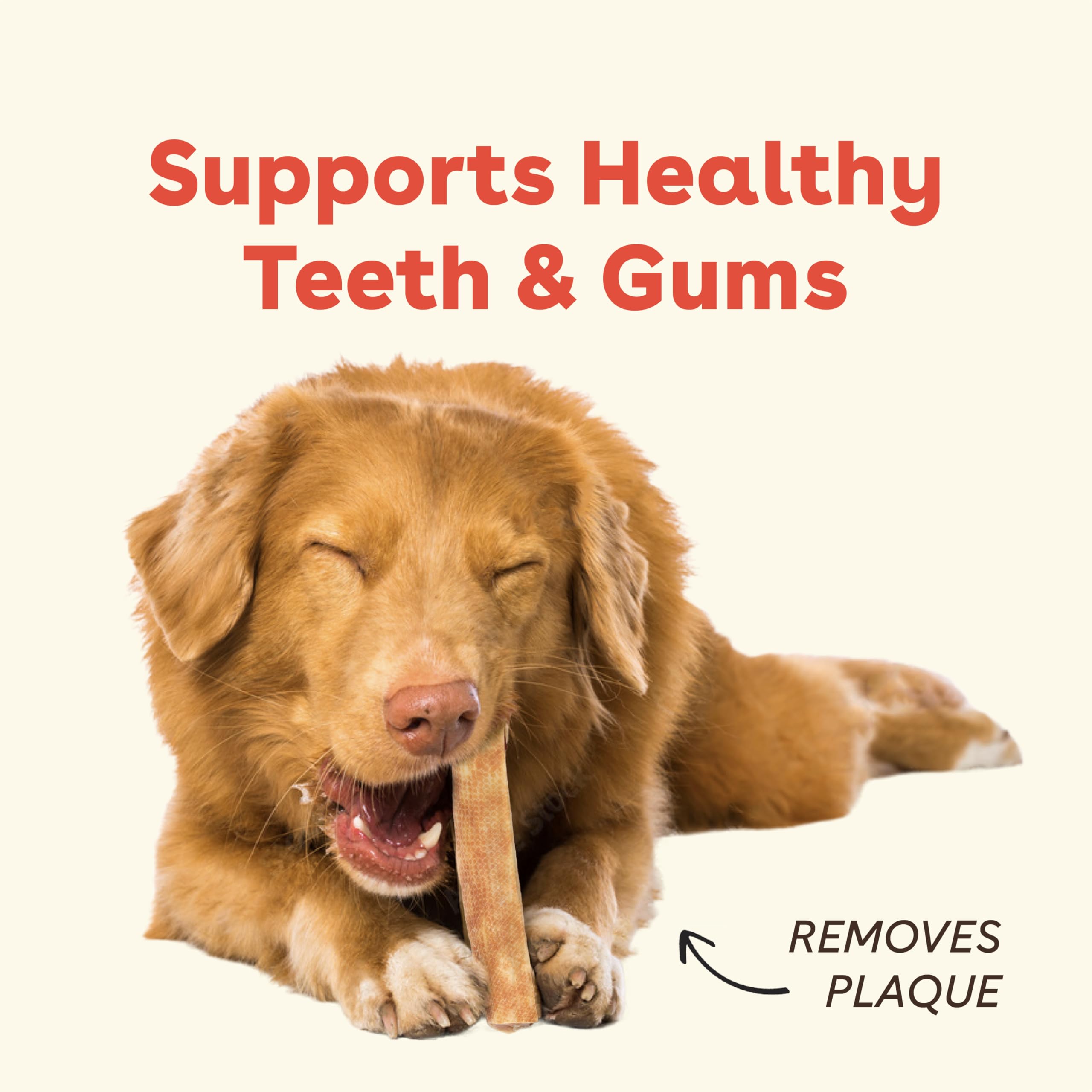Gros plan sur les détails de dents et haleine frais possible.