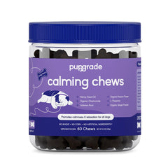 PupGrade friandises calmantes dans la bouteille, goût dinde appétissant.