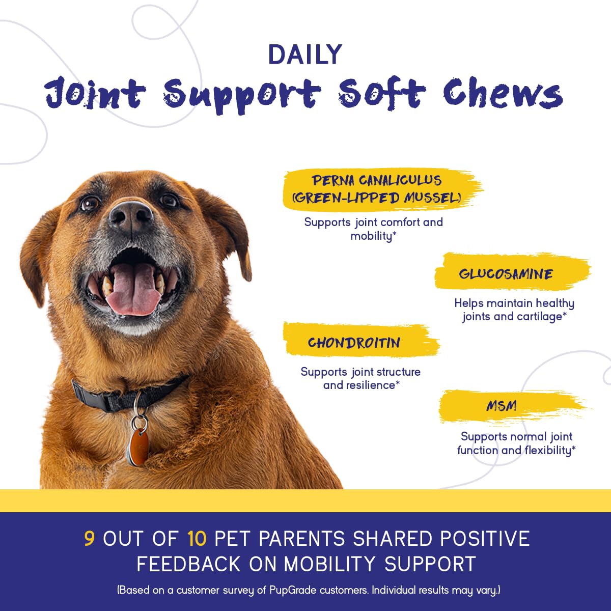 PupGrade friquettes molles goût boeuf, appréciées par les chiens.