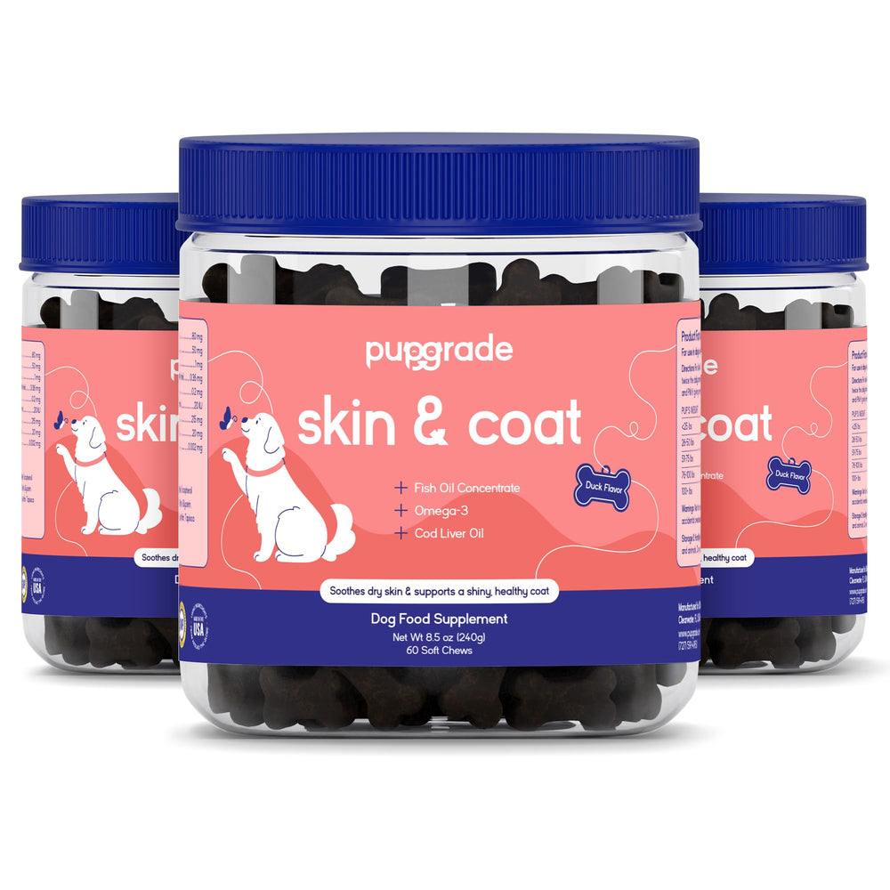 PupGrade boite, bouchées molles, soutien potentiel peau et pelage.
