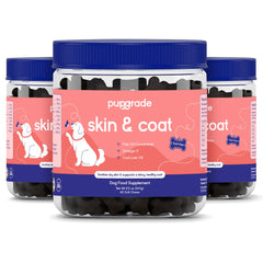 PupGrade boite, bouchées molles, soutien potentiel peau et pelage.