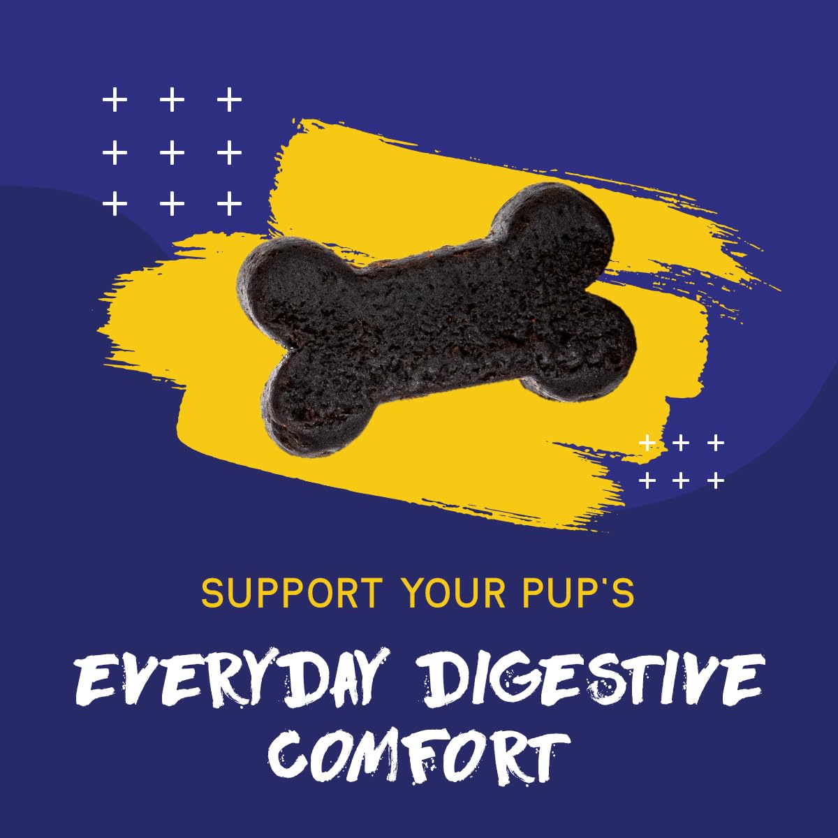 PupGrade: boîte de 60 unités, pratique à utiliser.