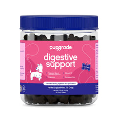 PupGrade Digestive Support : emballage pratique pour la routine quotidienne.
