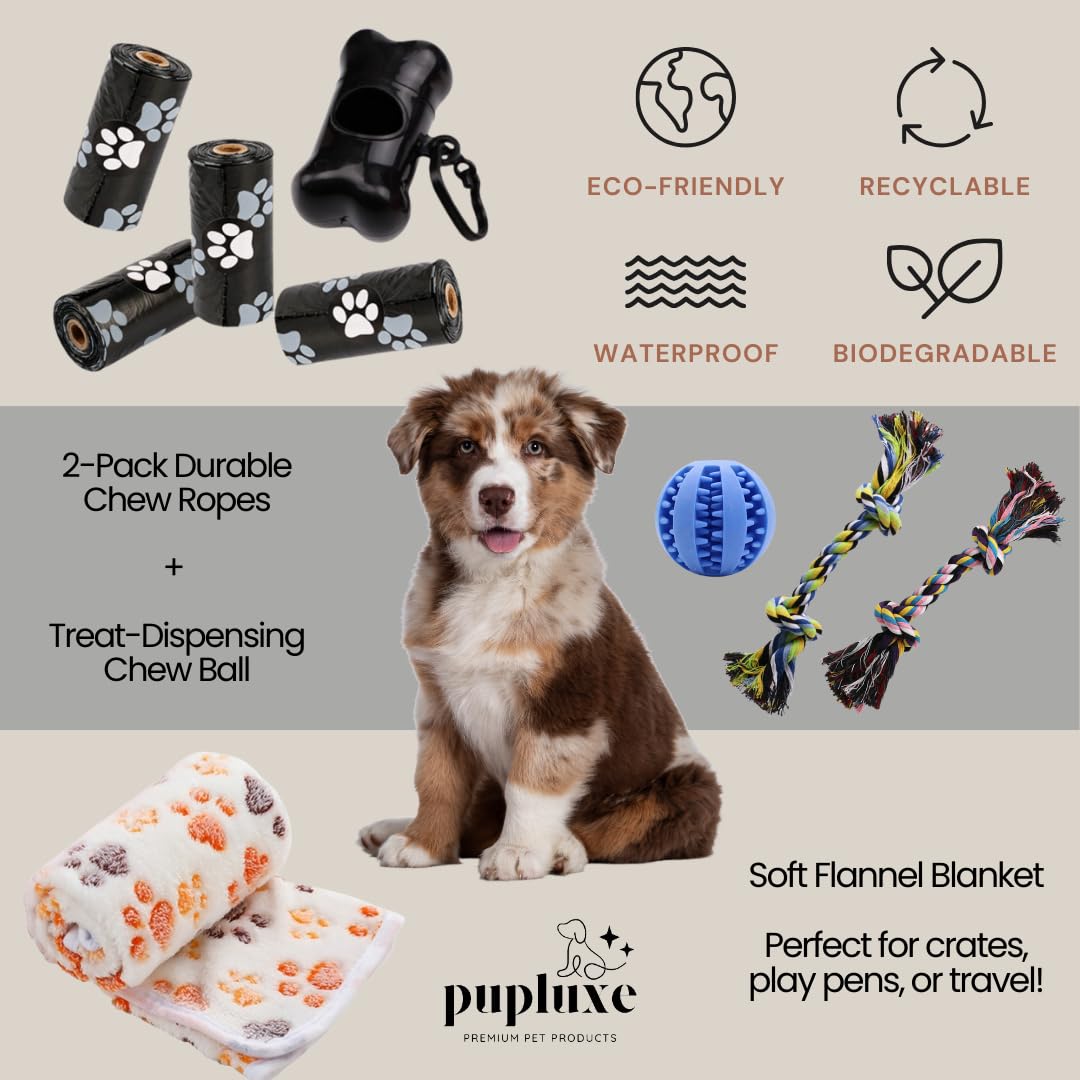 PupLuxe Bols inox anti-dérapants chiot: repas propres et stables partout.