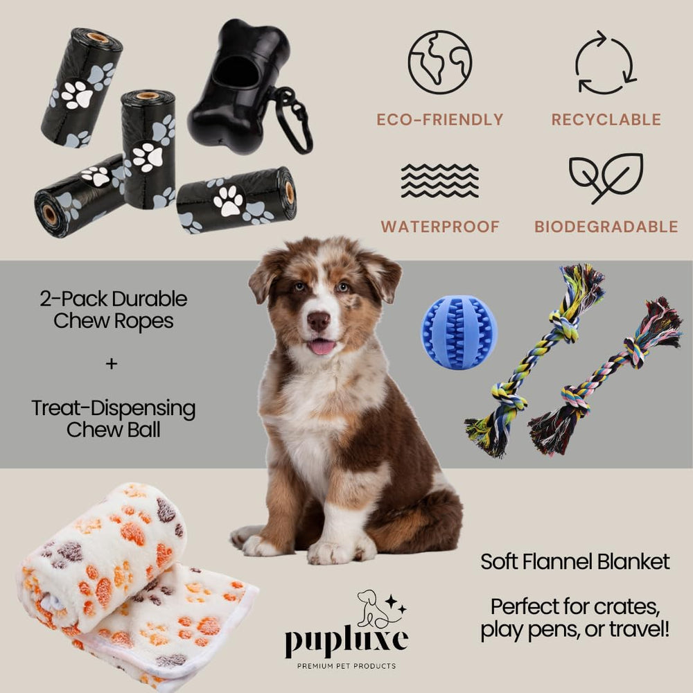 PupLuxe Bols inox anti-dérapants chiot: repas propres et stables partout.