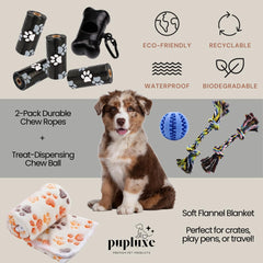PupLuxe Bols inox anti-dérapants chiot: repas propres et stables partout.