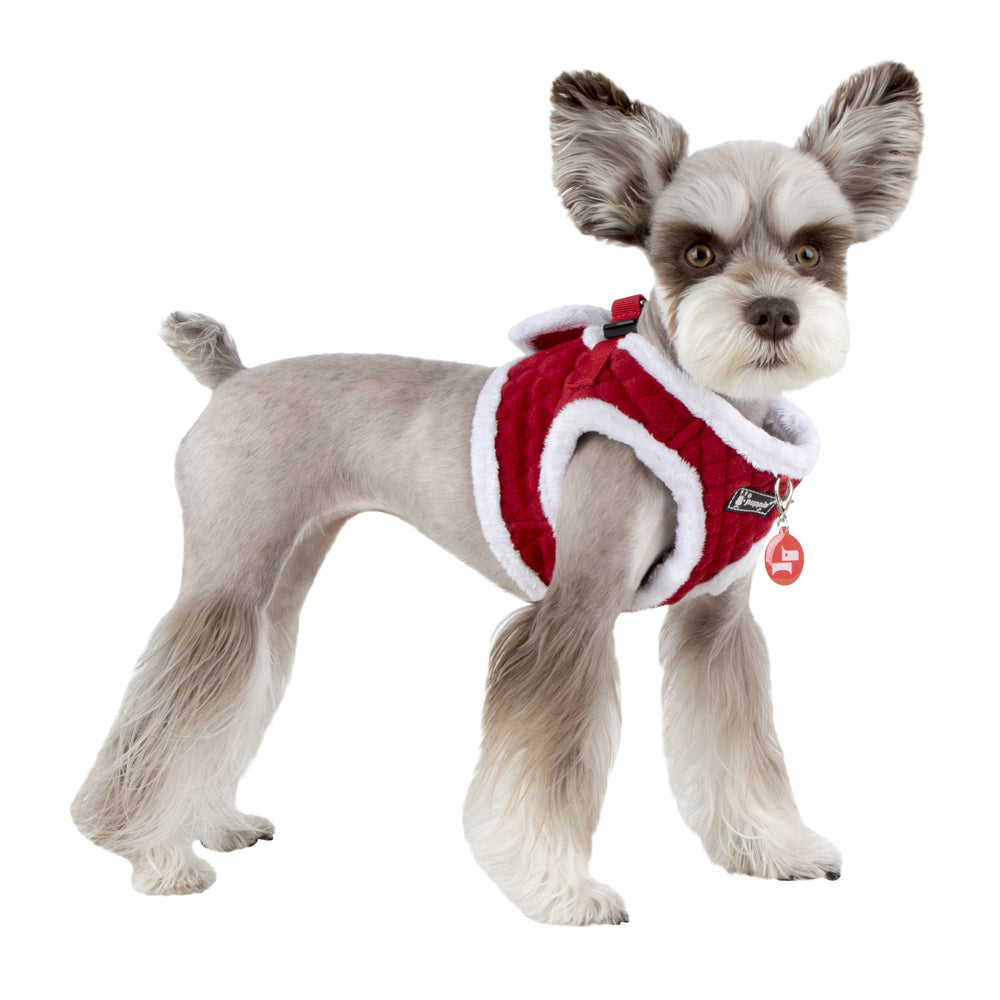 Puppia Blitzen taille XL, mesures cou et poitrine indiquées pour ajustement.