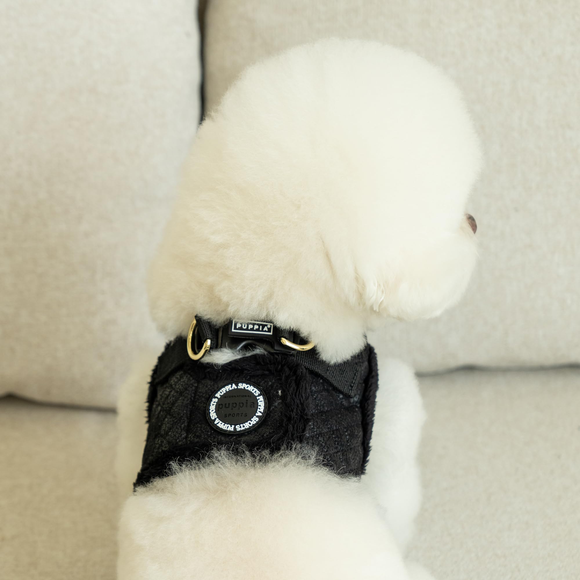 Harnais Puppia Douglas label caoutchouc dorsale, sécurité et style assurés.