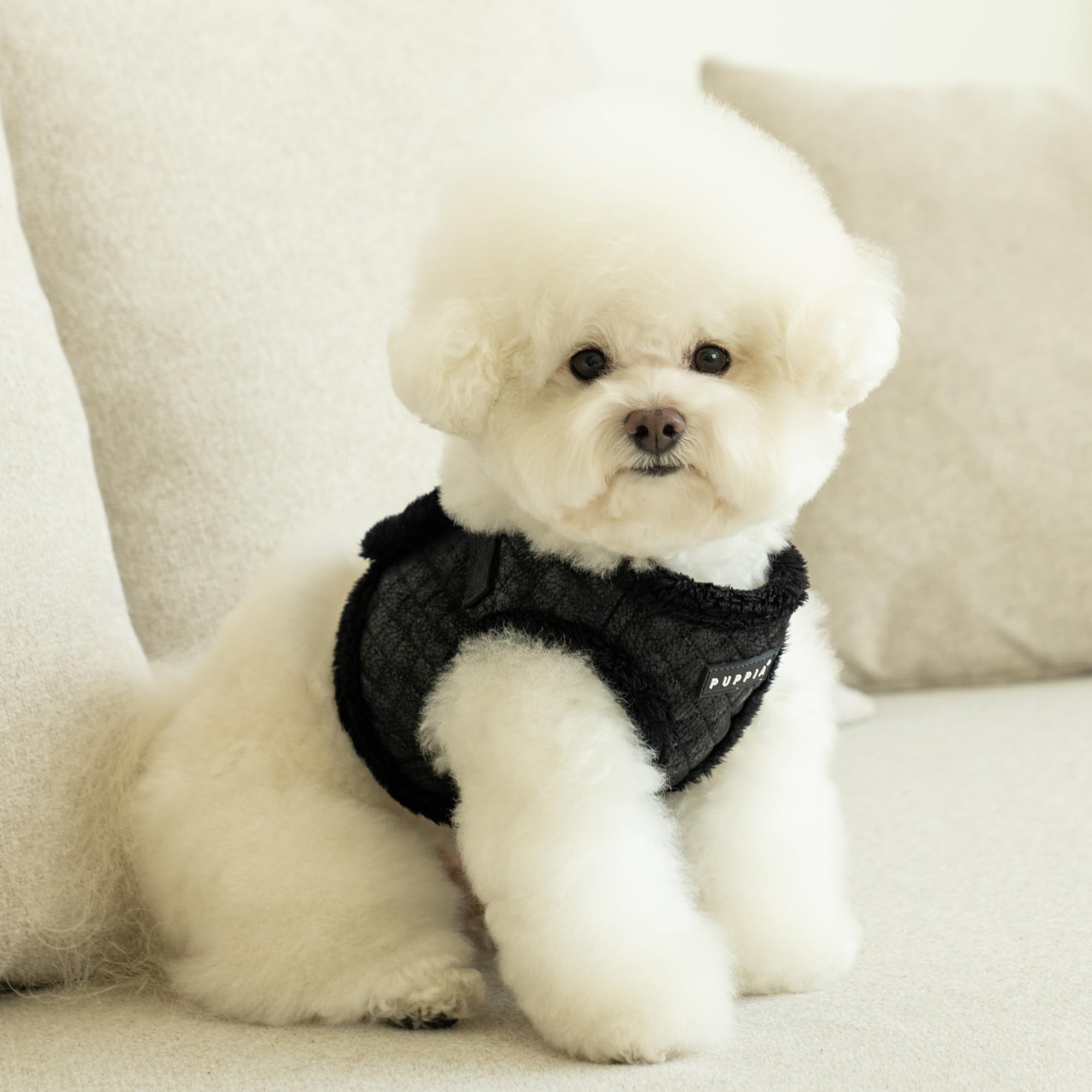 Harnais Puppia Douglas motif diamant noir, look hivernal élégant.