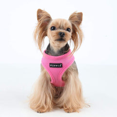 Puppia Harnais avec boucle rapide, facilité de mise en place et sécurité.