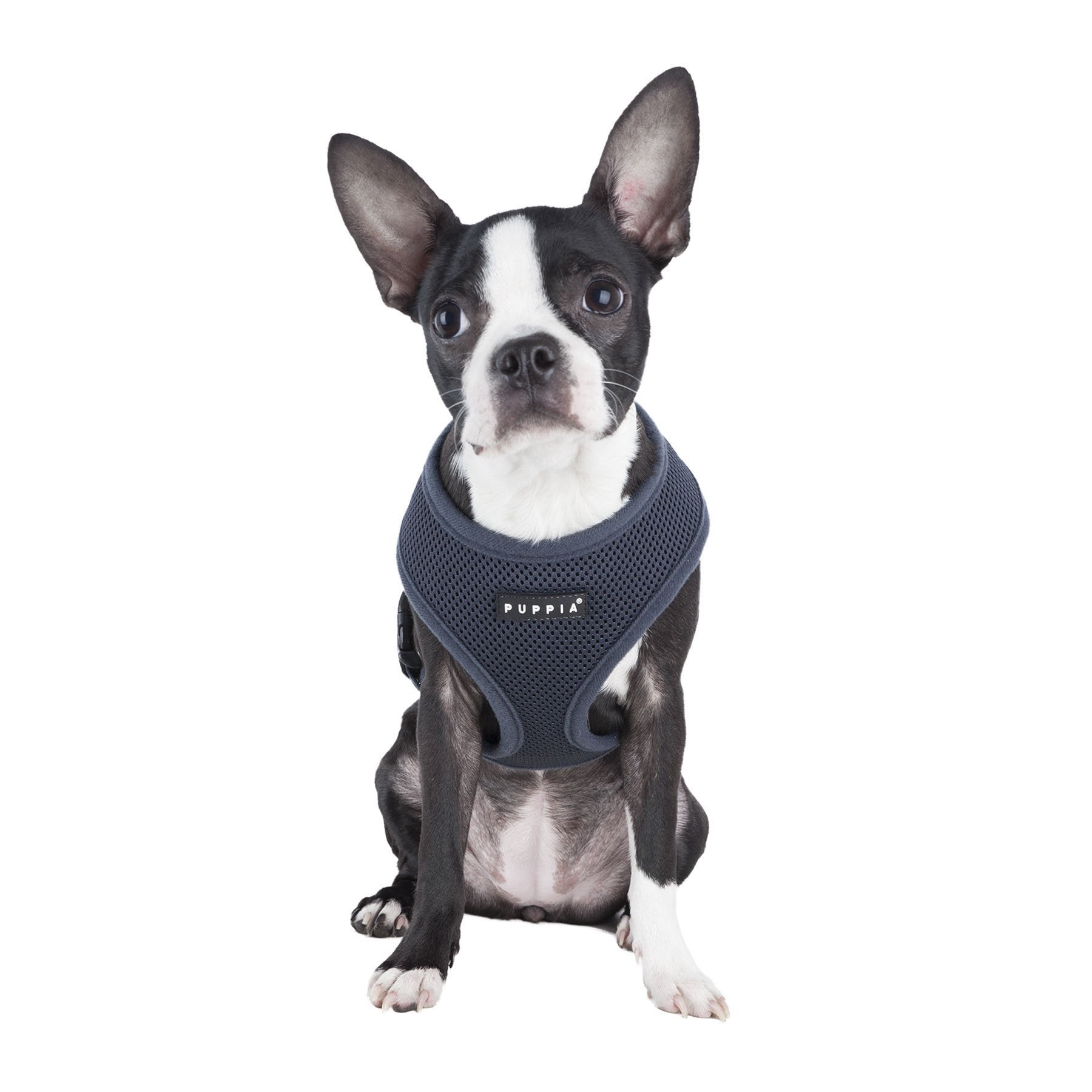 Harnais Puppia doux gris moyen ajustement poitrine pour maintien personnalisé
