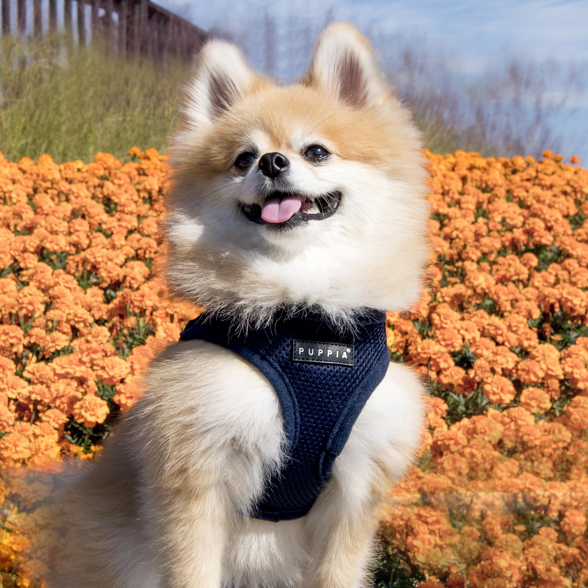 Puppia harnais doux vest-guide-tailles-dimensions: mesurer avec précision pour un ajustement optimal