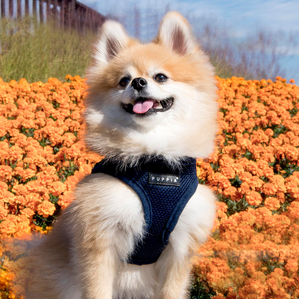 Puppia harnais doux vest-guide-tailles-dimensions: mesurer avec précision pour un ajustement optimal