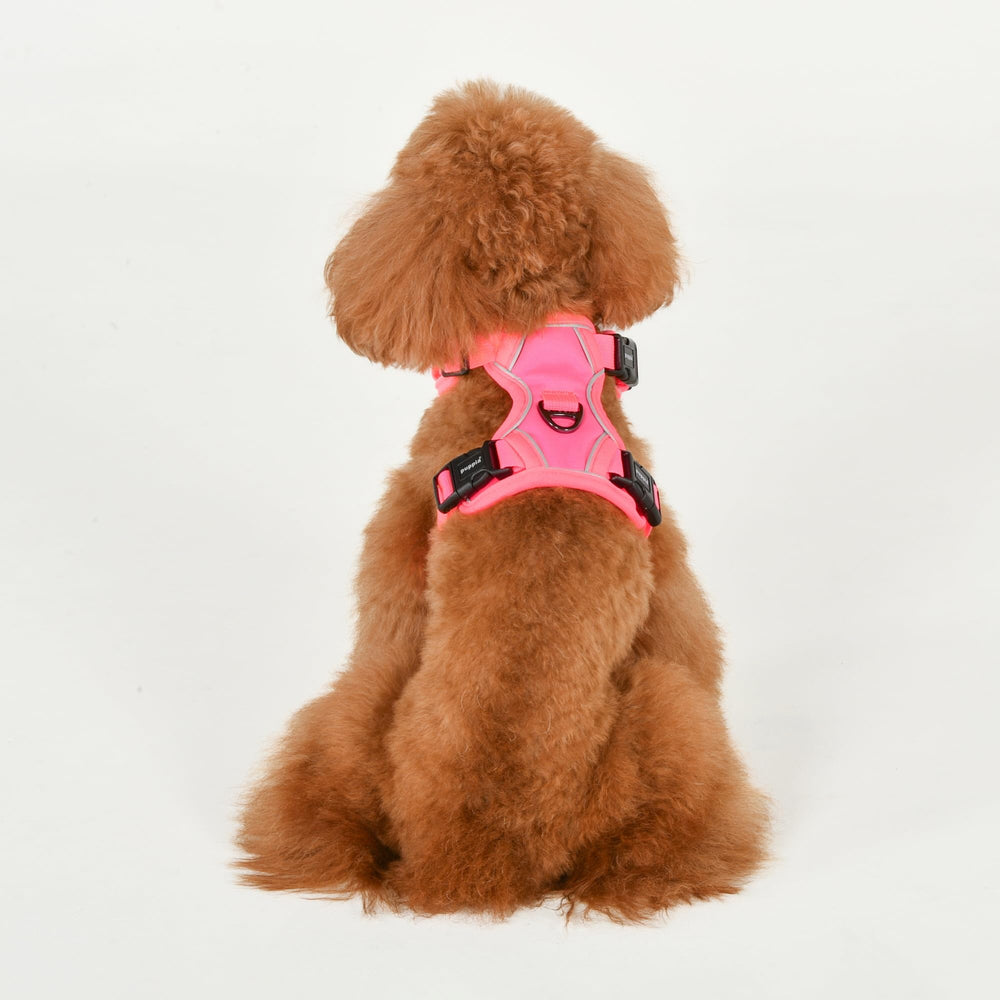 Harnais Puppia Neon rose – boucles faciles et anneaux D pour une installation rapide.