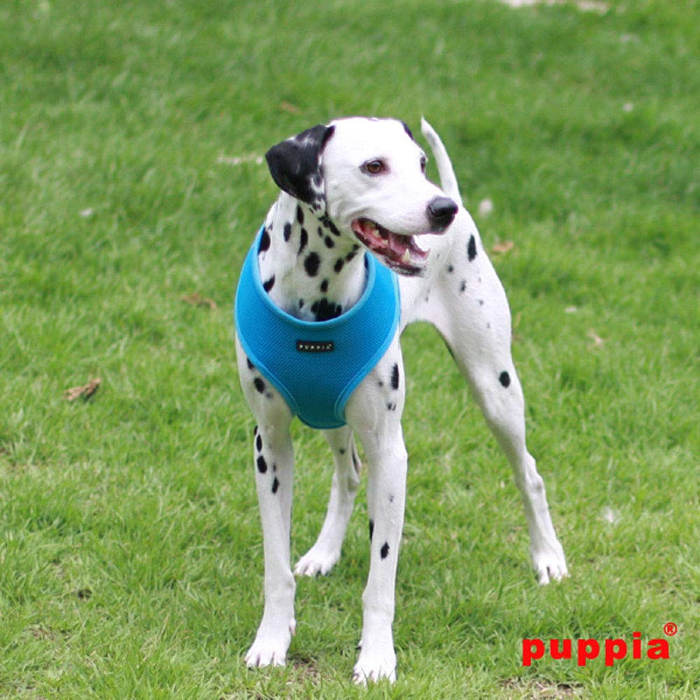 Harnais Puppia poitrine ajustable, ajustement personnalisé pour port confortable