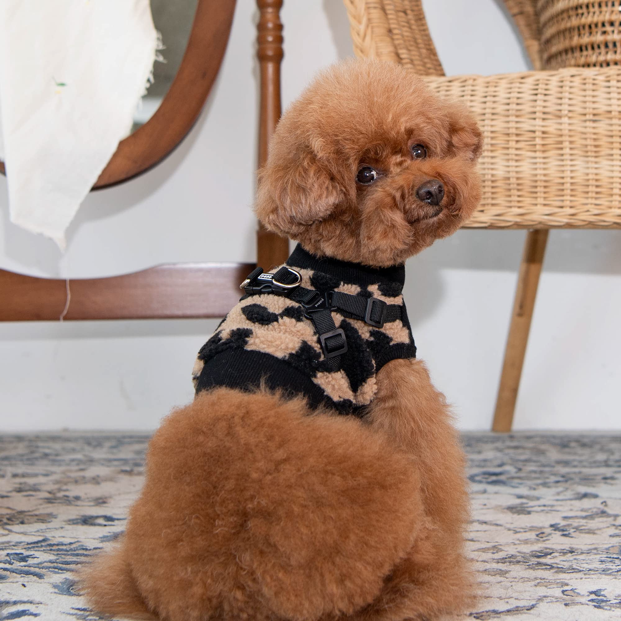 Puppia Serval Jacket Harnais avec ouverture dos et tenue stable