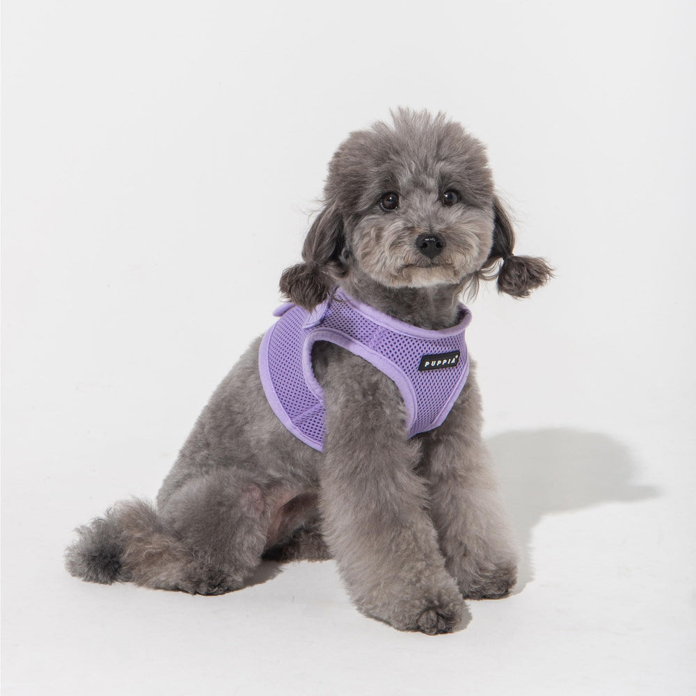Style vest violet Puppia, design tendance et visibilité extérieure.
