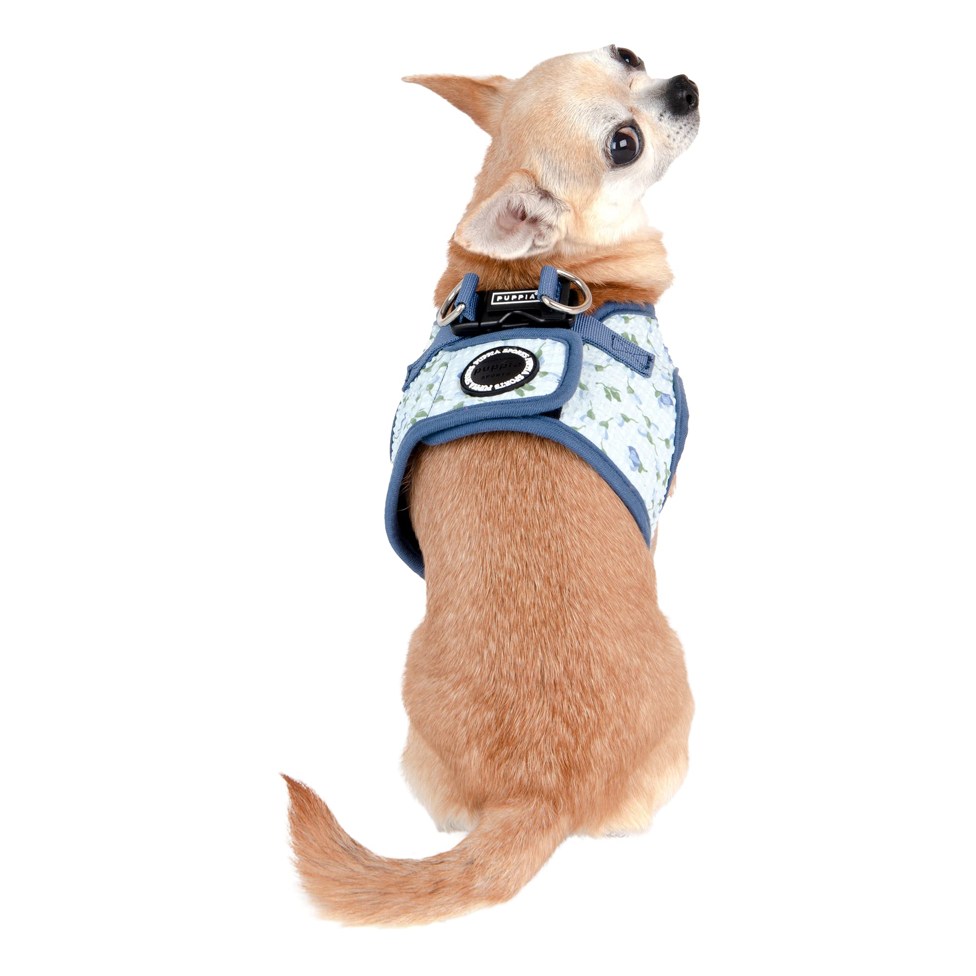 Motif fleur bleu raffiné sur harnais Puppia, style élégant pour les promenades.