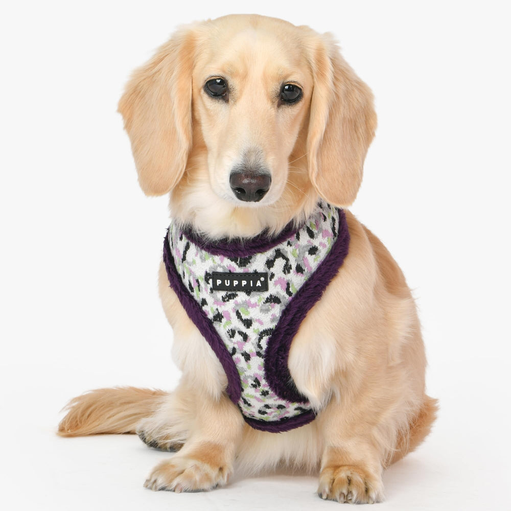 Puppia Huxley, boucle et anneau métallique, sécurité renforcée lors des sorties.