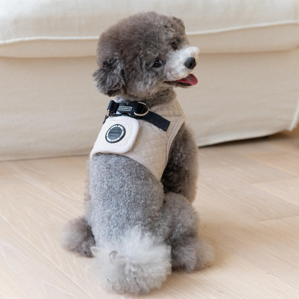 Motif diamant crème sur harnais Puppia Irvin pour hiver