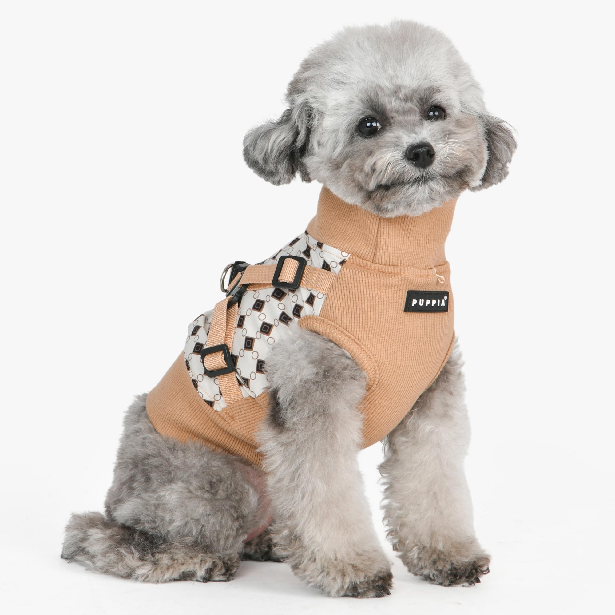Puppia Jace : anneaux D arrière métalliques pour une connexion fiable avec votre laisse.