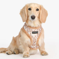 Harnais Puppia Kovo avec anneau arrière pour la laisse, look léopard beige.