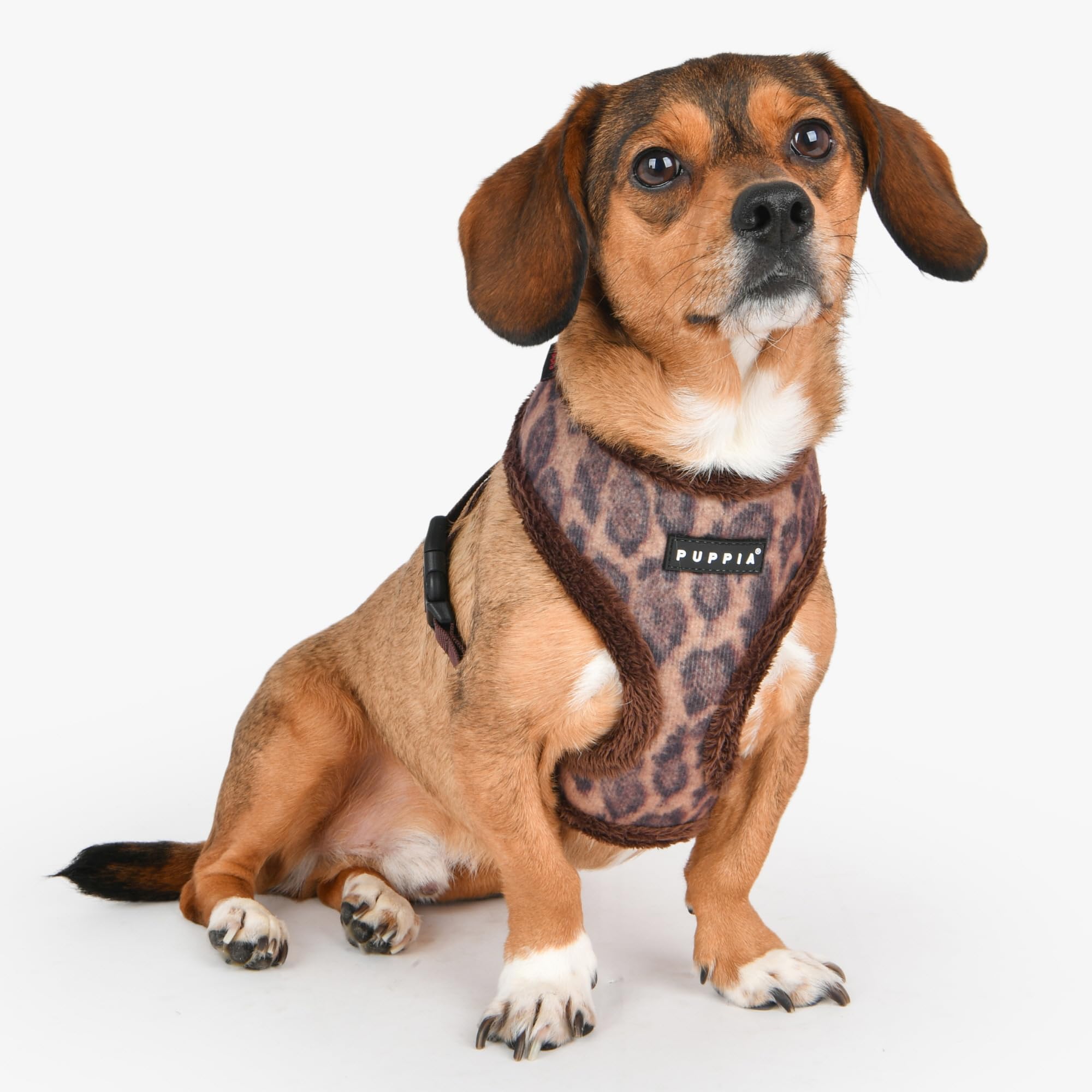 Puppia Kovo harnais anneau en D arrière Léopard, sécurité et durabilité lors des promenades.