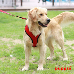 Puppia harnais-reglage-poitrine-chien: ajustement sûr et confortable.