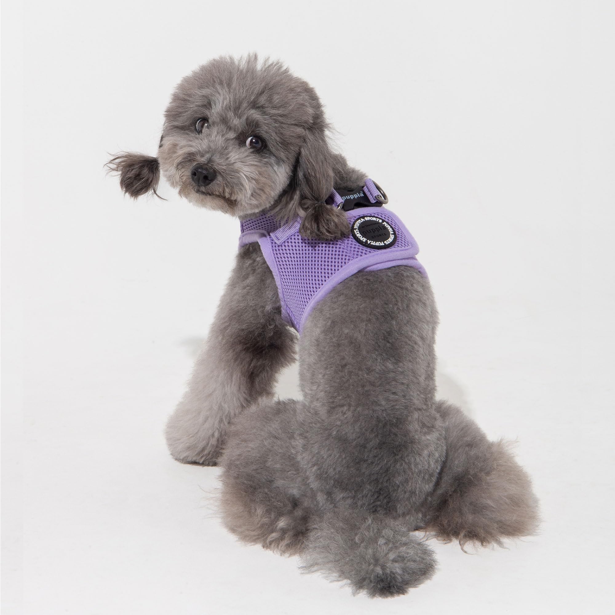 Harnais Step-In Puppia grande taille facile à enfiler et ajustable.
