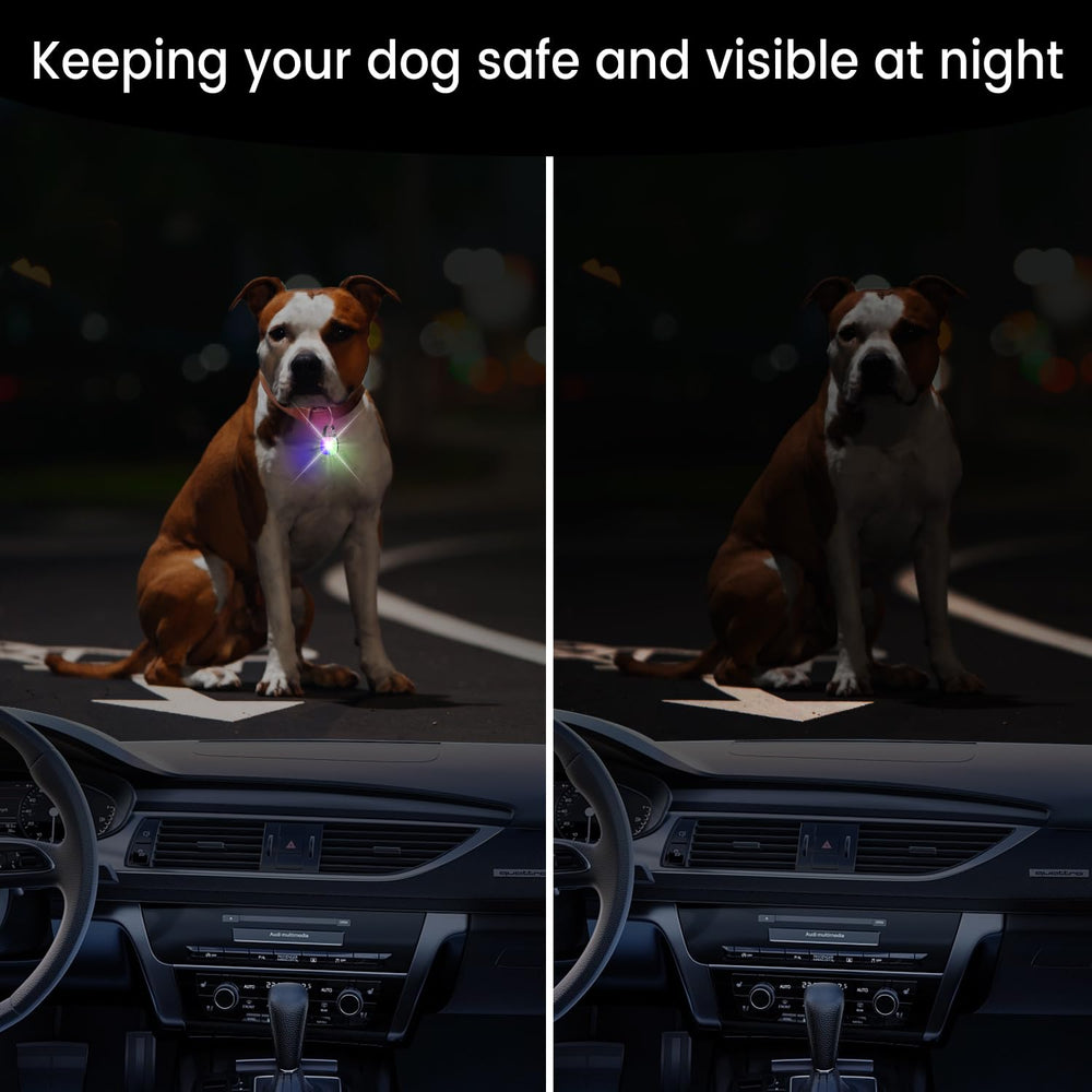 PUPKOLI collier chien lumineux avec 80 lumens pour balades nocturnes.