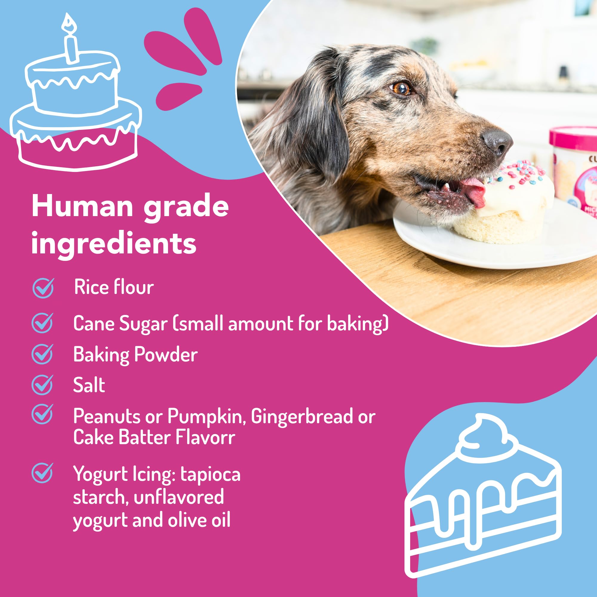 Ajout d eau et cuisson rapide avec Puppy Cake.