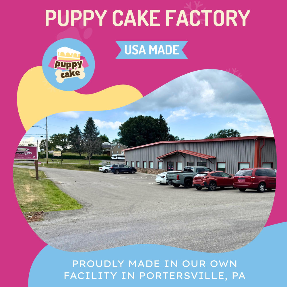 Puppy Cake sans additifs avec options sûres