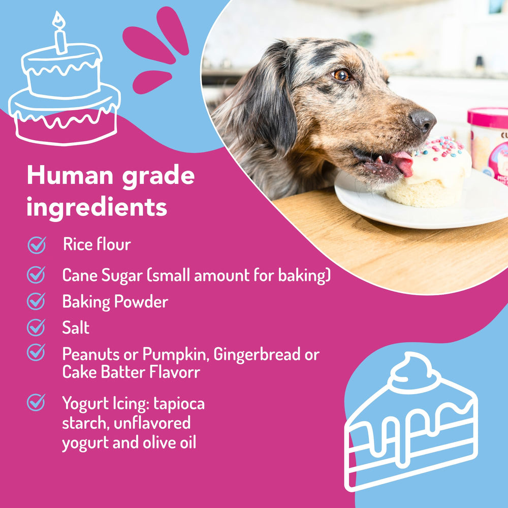 Puppy Cake ensemble gâteau chien en deux minutes.