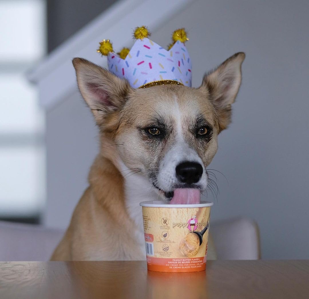 Puppy Scoops – Fabriqué aux États-Unis, qualité et traçabilité assurées.