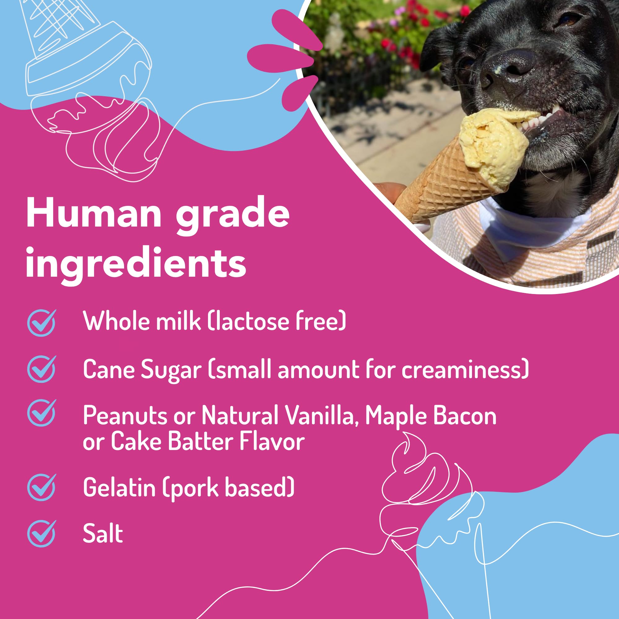Puppy Scoops – gobelet glace avec couvercle réutilisable pour congélation pratique.