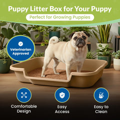 PuppyGoHere litière chien sable plage durable et facile d'entretien.