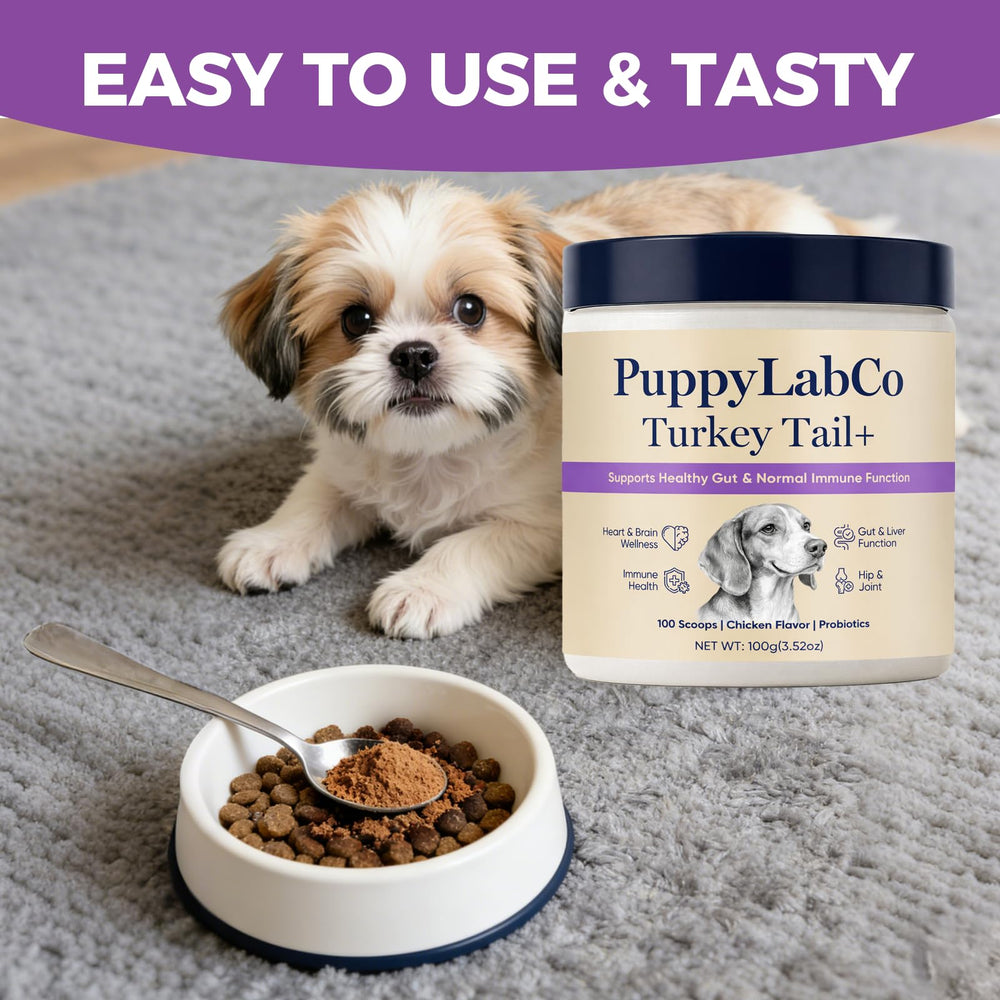 PuppyLabCo queue-de-dinde – soutien immunitaire naturel pour chiens actifs.