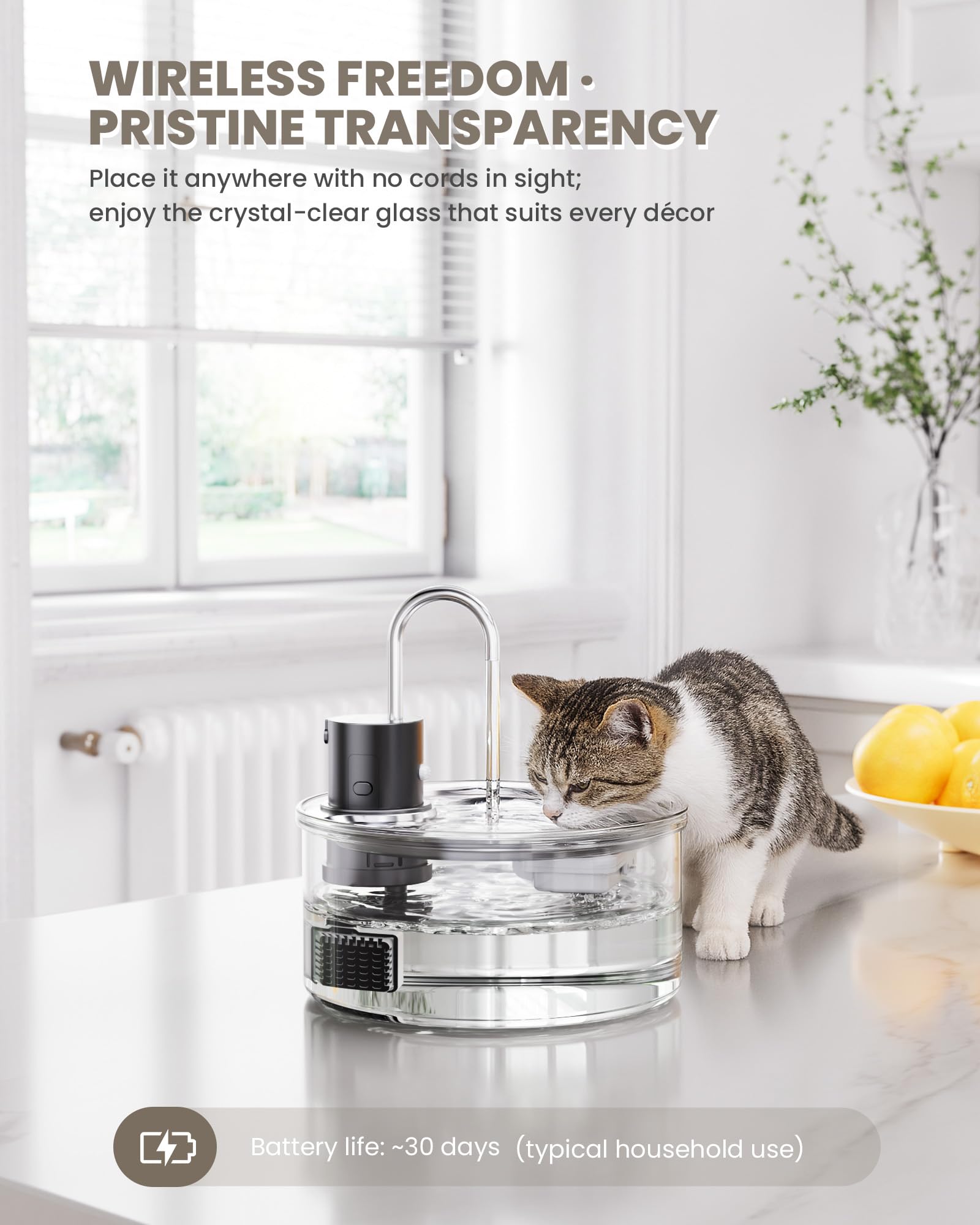 Puppyspout fontaine-chat-verre-filtration-multicouche: eau propre grâce à une filtration multicouche.