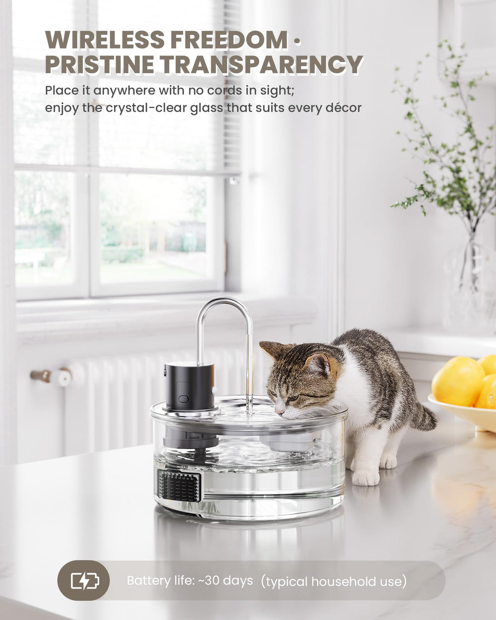 Puppyspout fontaine-chat-verre-filtration-multicouche: eau propre grâce à une filtration multicouche.