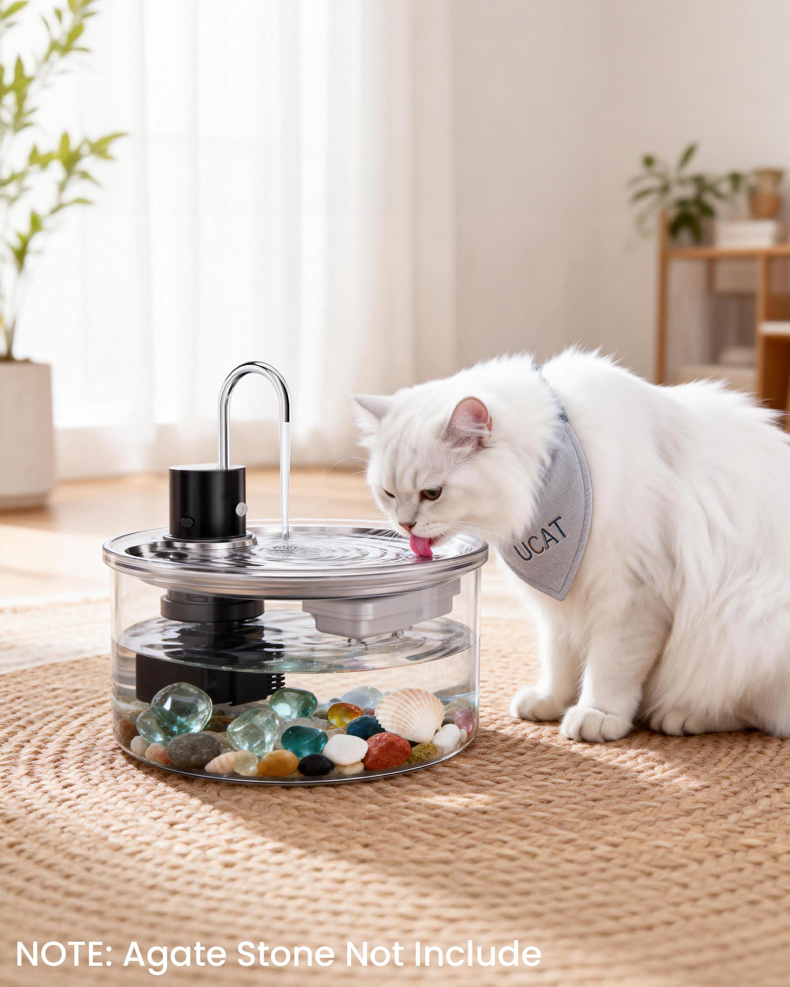 Puppyspout fontaine-chat-verre-lumiere-bleue: ambiance nocturne douce et attrayante.