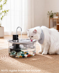 Puppyspout fontaine-chat-verre-lumiere-bleue: ambiance nocturne douce et attrayante.