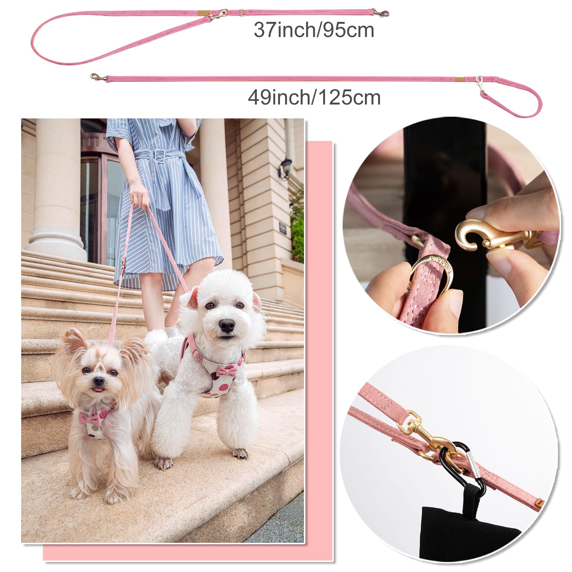 Boucle ajustable Puppytie assure un ajustement sûr pendant l’exercice.