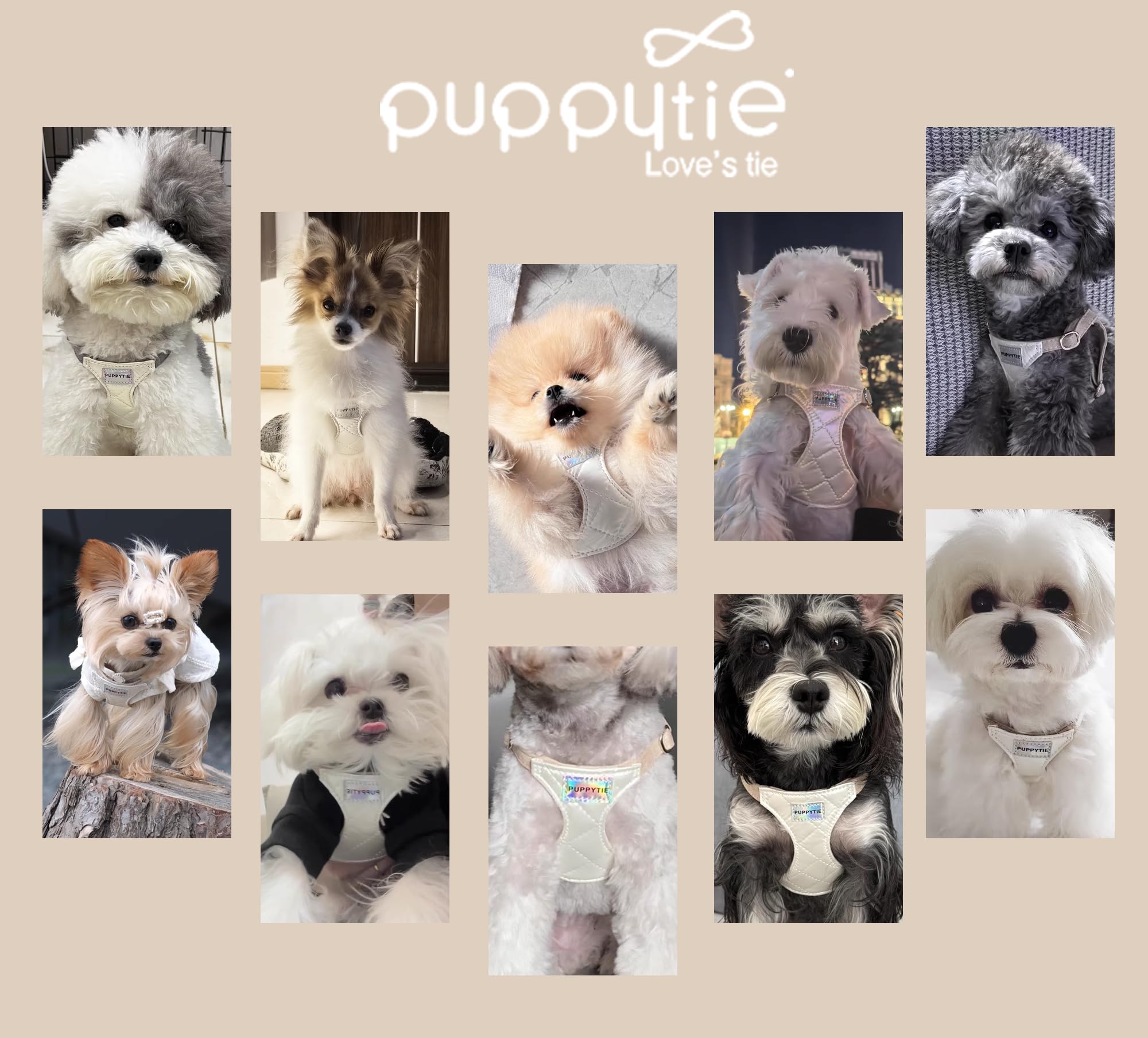Conception ergonomique Puppytie pour un port facile et un mouvement libre.