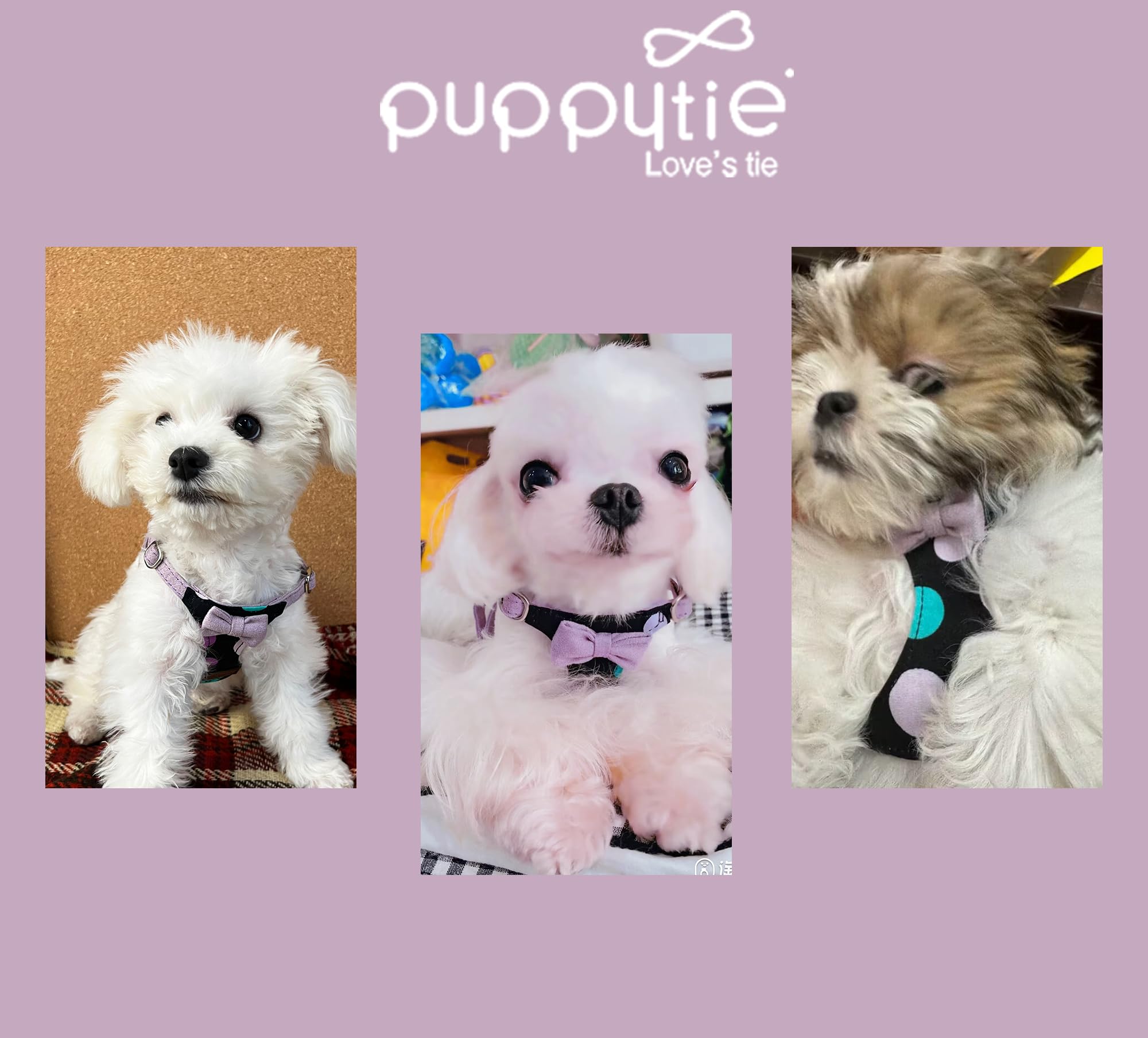 Emballage cadeau Puppytie et service client professionnel.