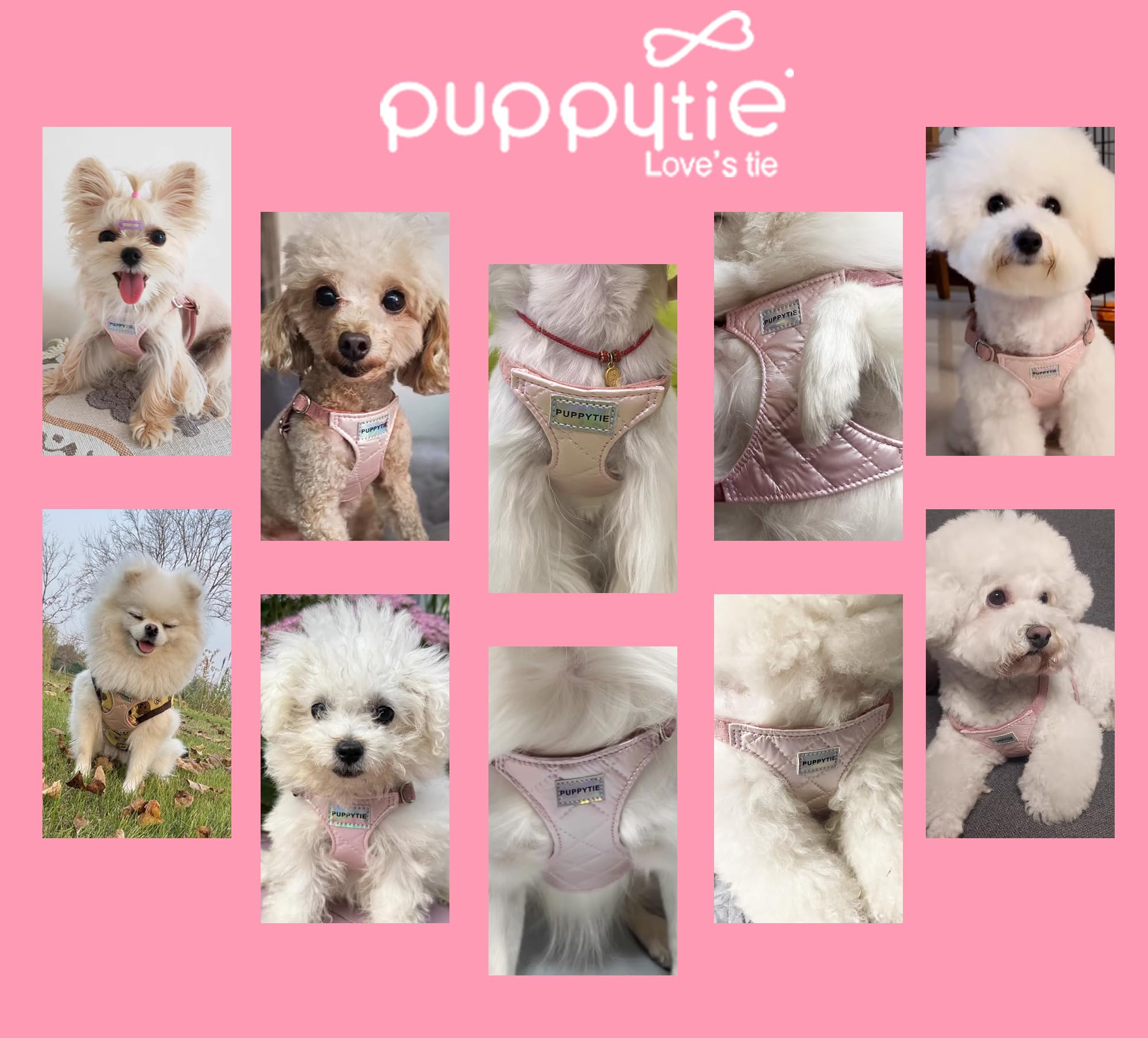 Emballage cadeau Puppytie, parfait pour offrir.