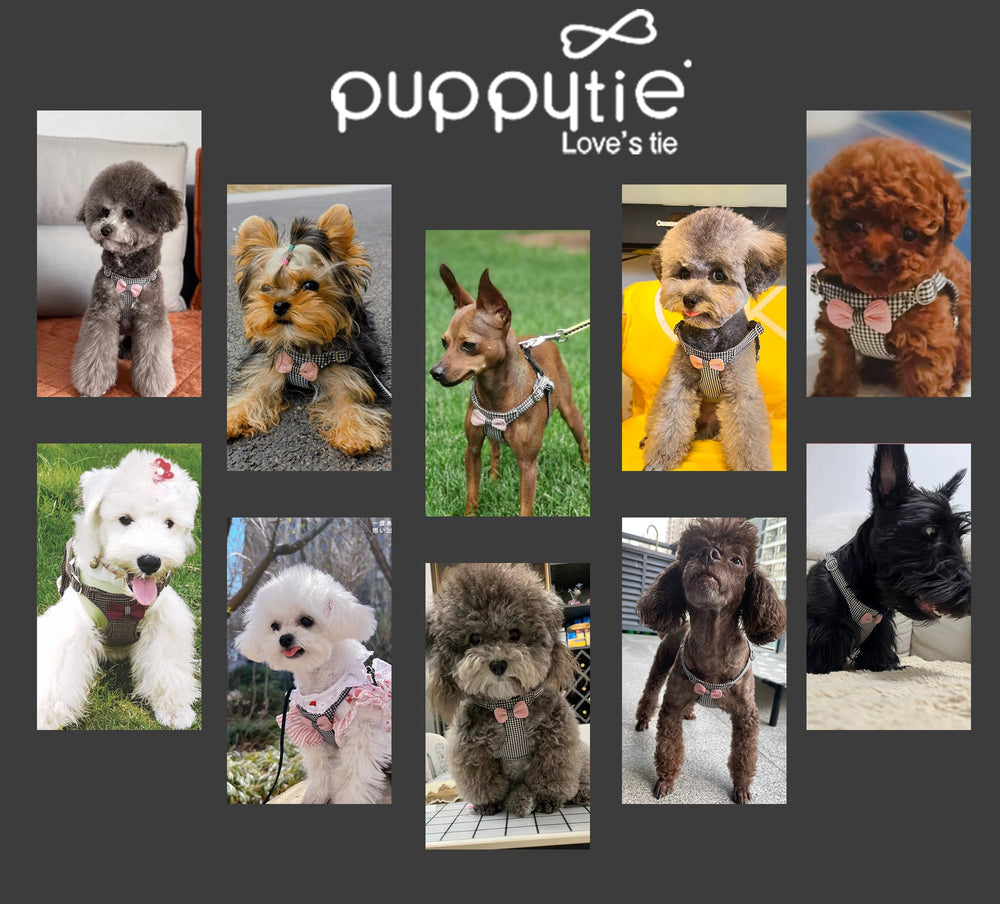 Puppytie emballage cadeau et service client dédié.