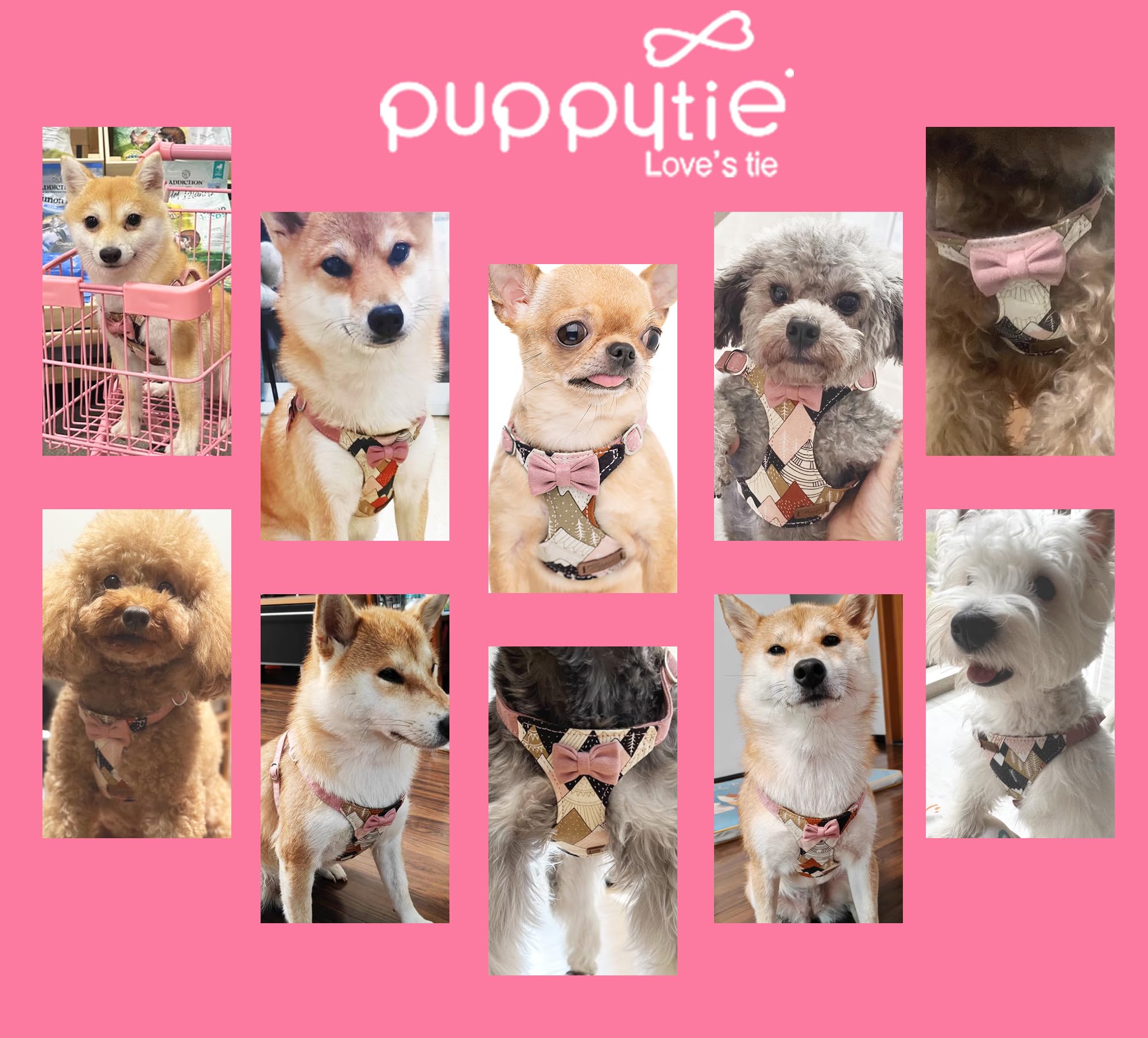 Emballage cadeau Puppytie et service client dédié pour le suivi
