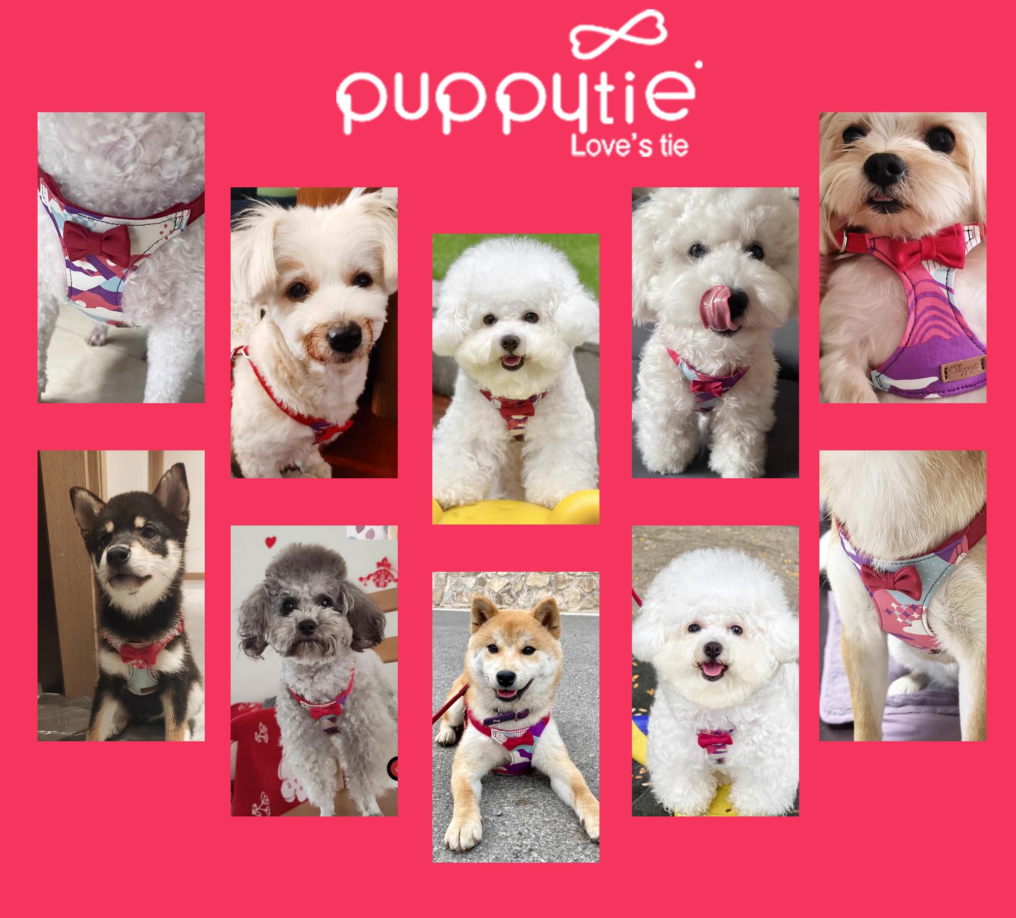 Emballage cadeau Puppytie et service client dédié pour une expérience complète.