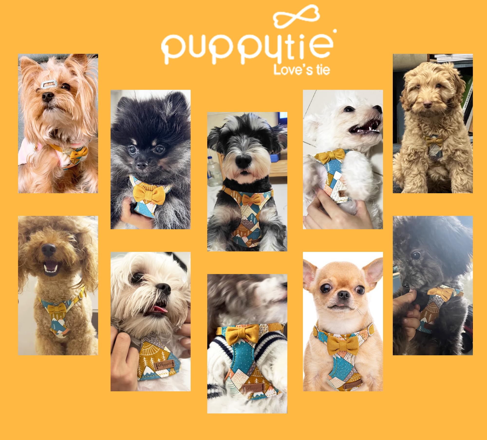 Puppytie emballage cadeau inclus, parfait pour offrir ce harnais.